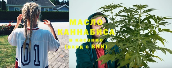 соль ск Богданович