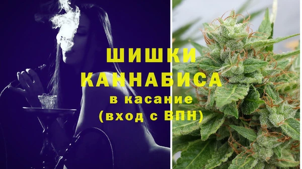 соль ск Богданович