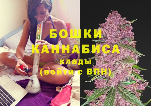 МДПВ Богородицк