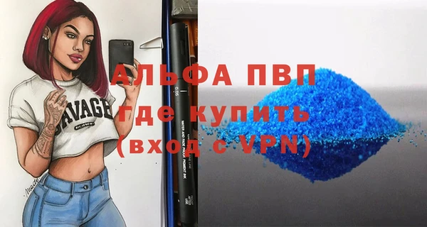 стаф Богородск